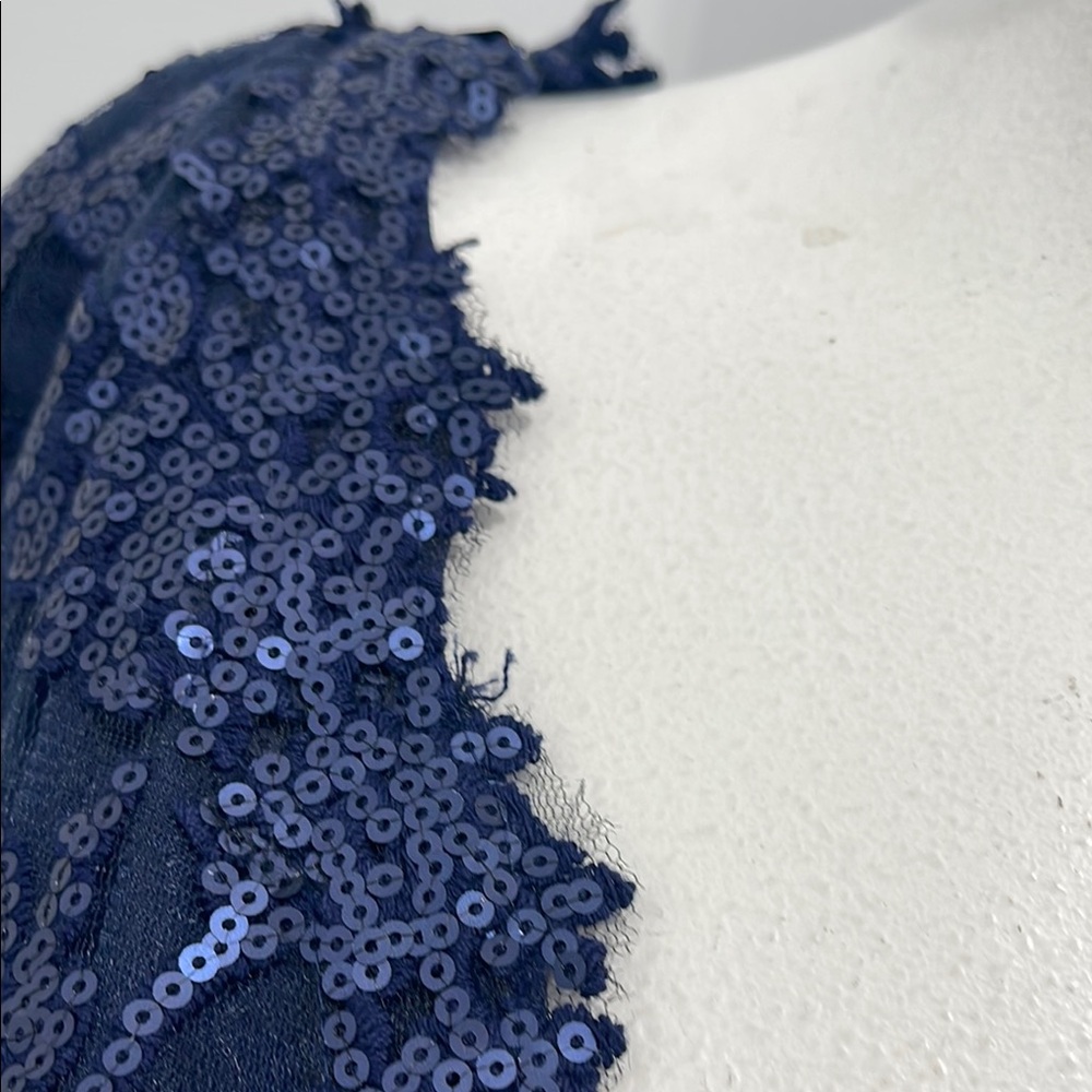 Tadashi Shoji Too Navy Embroidered Lace Evening Gown Tulle Skirt Size 16 Q   NWT - Picture 10 of 16